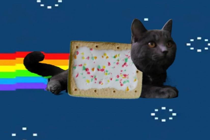 Nyan Cat Wallpapers Free Download - wallpaper.wiki Nyan Cat Image Download  Free PIC WPE002141