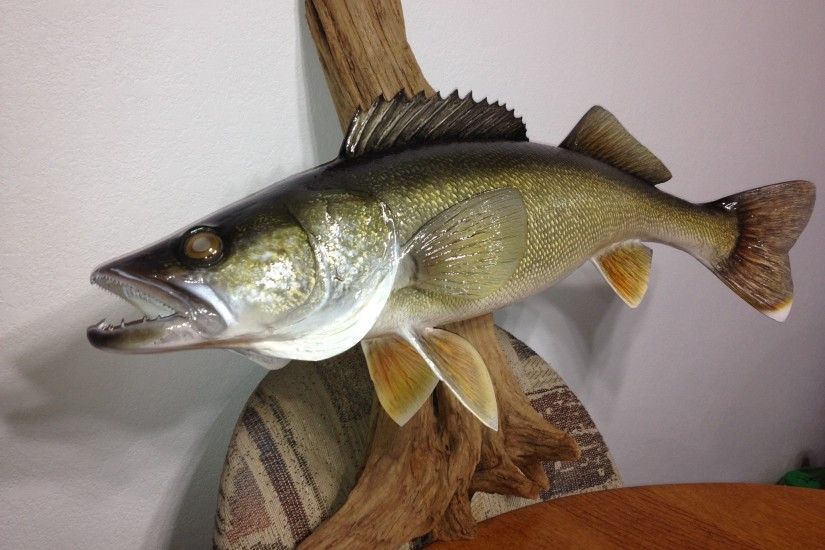 I'll second Fiber Tech out of Minnesota. Got a replica done last year of a  29" walleye and they did a fantastic job.