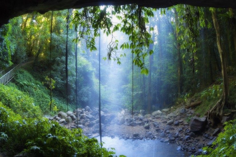 landscapes rain forest drog fog mist trees woods water pool sunlight  1920x1080