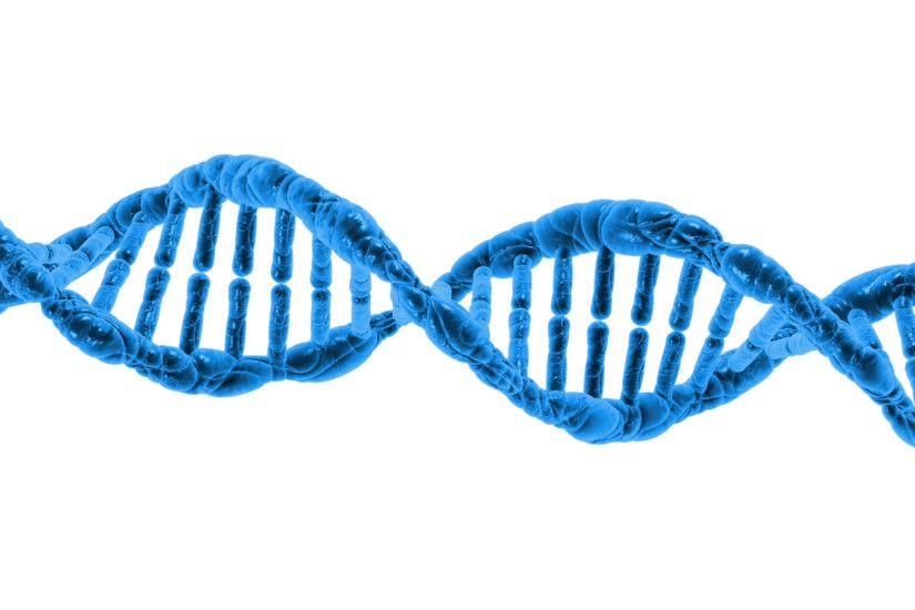 Our DNA contains all of the genetic information needed to determine our  physical traits such as
