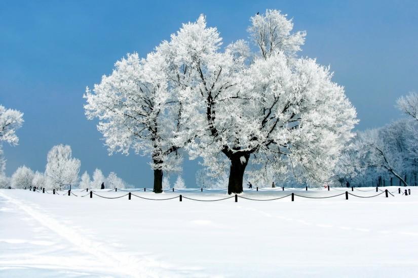Snow Desktop Backgrounds | Winter Snow Desktop Wallpapers | Desktop .