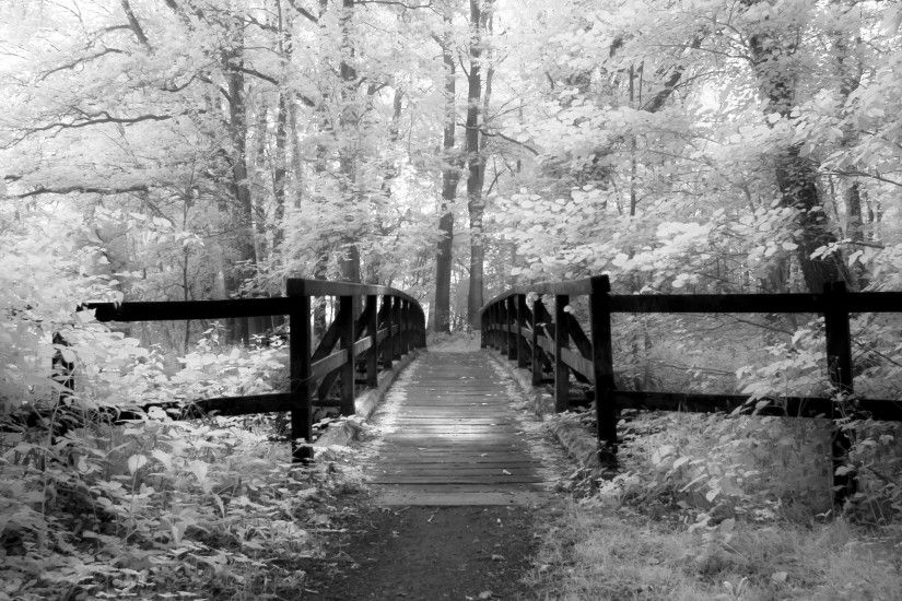 Old Bridge – Infrared Photography