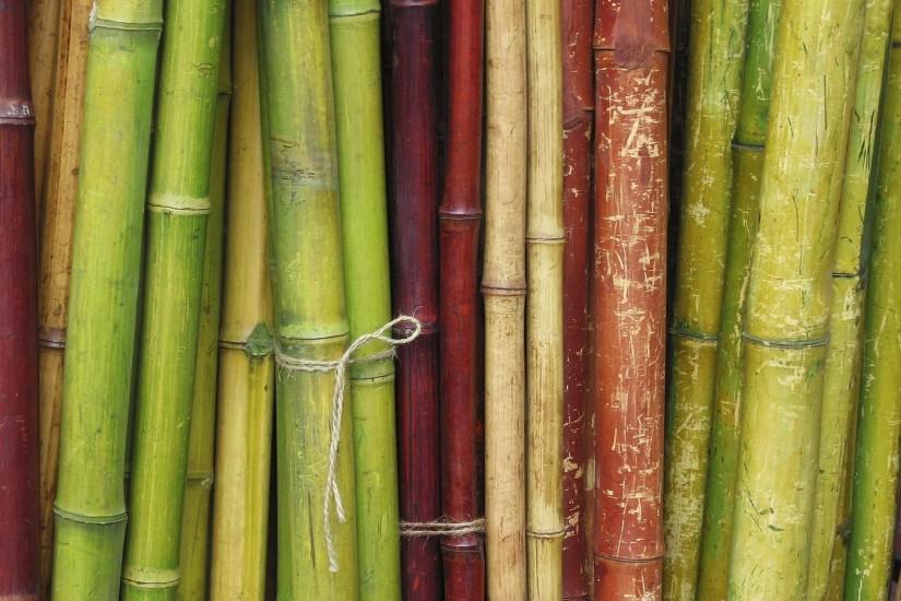 popular bamboo background 1920x1080