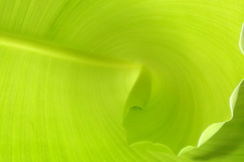 Green Spiral Leaf Background