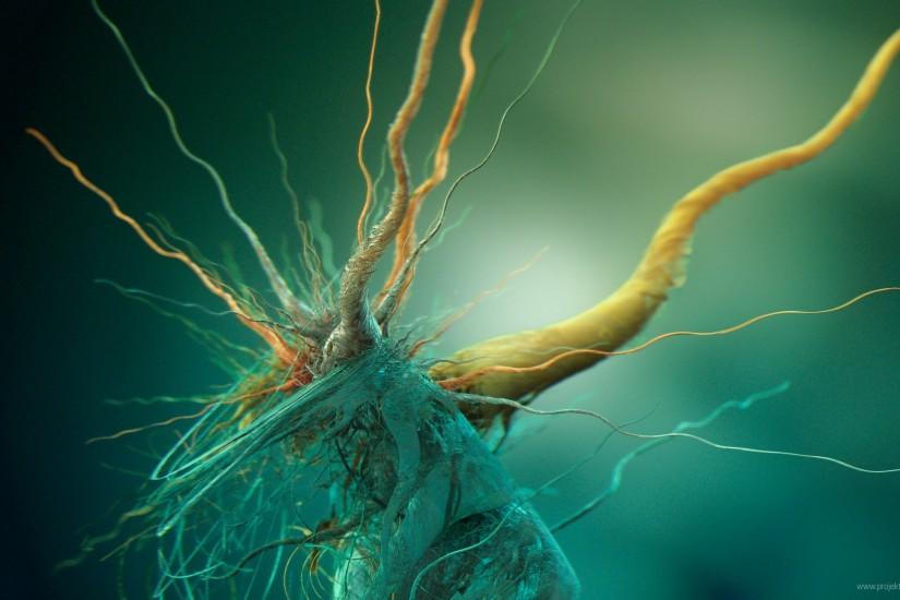 abstract, Brains, Cells, Biology Wallpaper HD