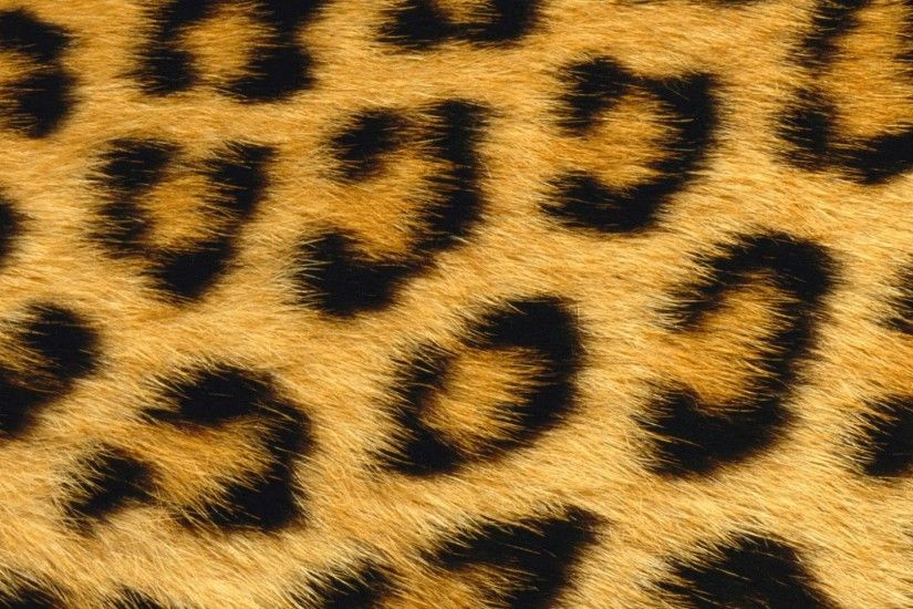 wallpaper.wiki-Leopard-wallpaper-mac-cheetah-PIC-WPE003304