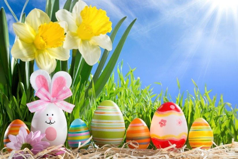 happy easter spring sunshine eggs flowers spring sun easter eggs flower  daffodils grass