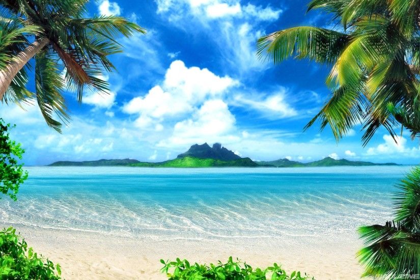 Tropical Beach Background Wallpaper