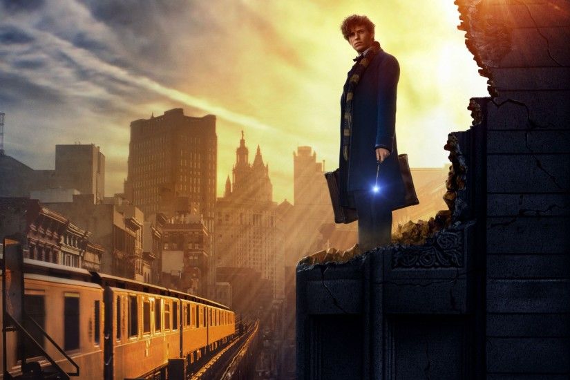Movies / Fantastic Beasts and Where to Find Them Wallpaper