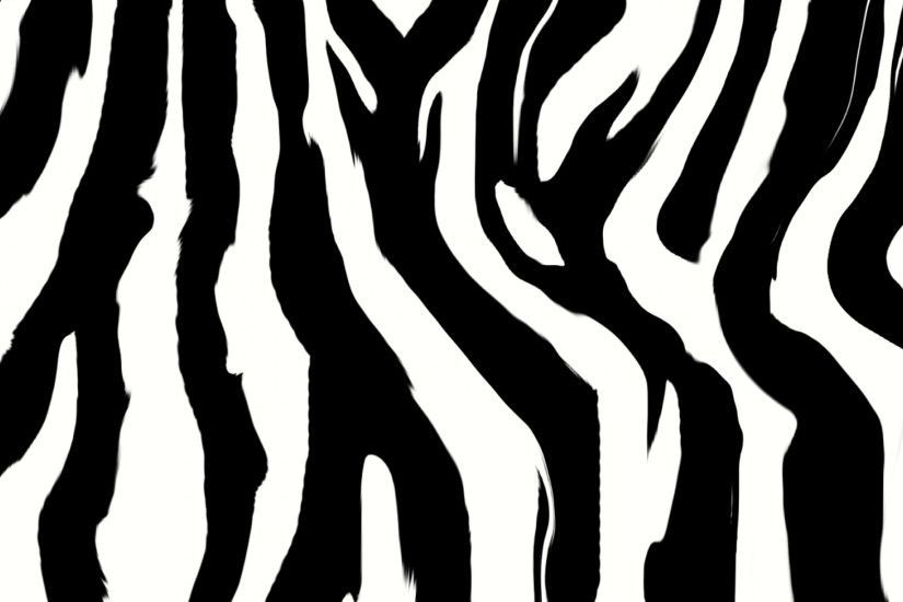zebra print wallpaper uk. Â«Â«
