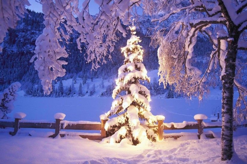 Christmas tree lights wallpaper background hd wallpapers.