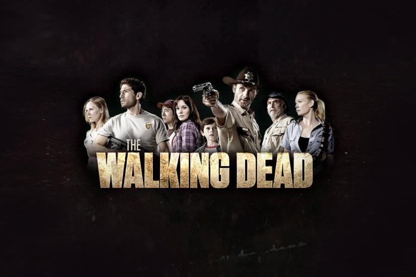 the walking dead the walking dead tv series serial zombie zombie rick lori  carl shane glenn
