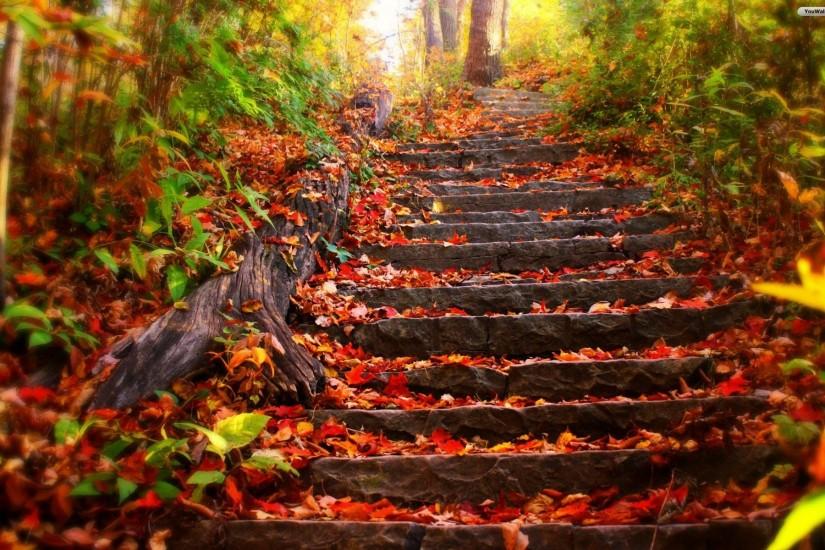 Autumn Stairs Wallpaper