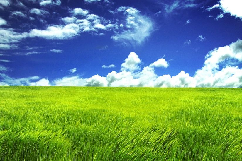 Green Grassland