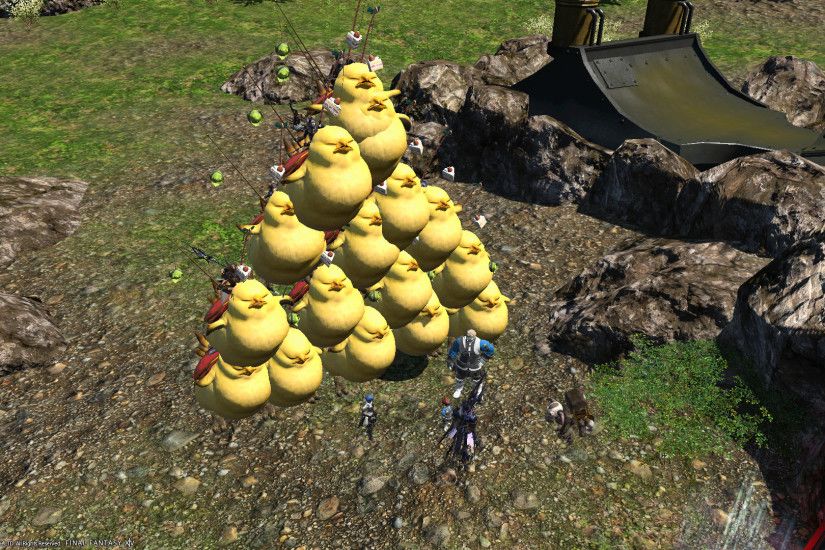 FFXIV Fat Chocobo Party