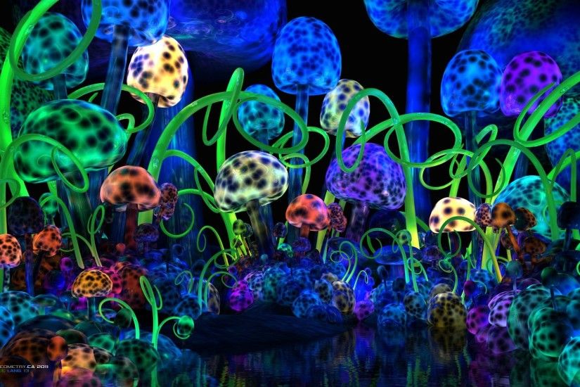Trippy Shroom Wallpapers (75 Wallpapers)