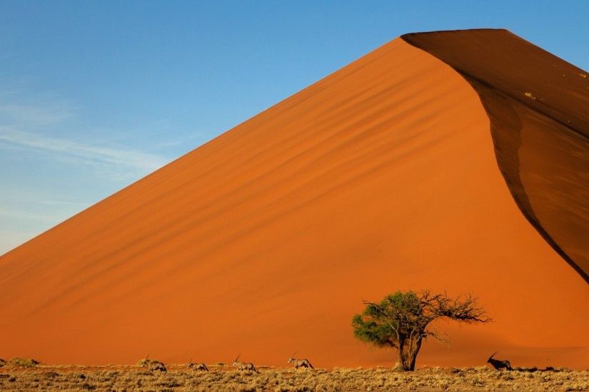 desert, Landscape, Sand, Dune, Animals Wallpapers HD / Desktop and Mobile  Backgrounds