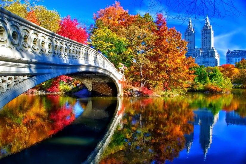 Wallpaper Bridge, trees, New York, leaves, sky, central park, autumn,  landscape, USA Â» City, nature, landscapes - Free HD Desktop Wallpapers.