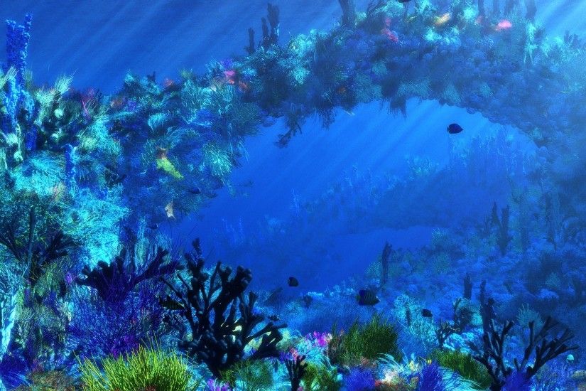 Ocean Tropical Fish Underwater Wallpaper At Fantasy Wallpapers