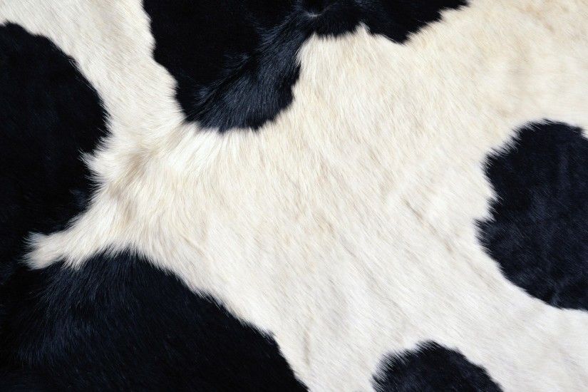 Cow Texture 645658