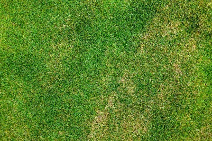 new grass background 3150x2100 for ios