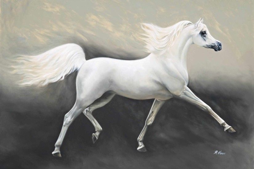 ... Arabian Horse HD Wallpapers | Horse Desktop Images | Cool Wallpapers 2  ...