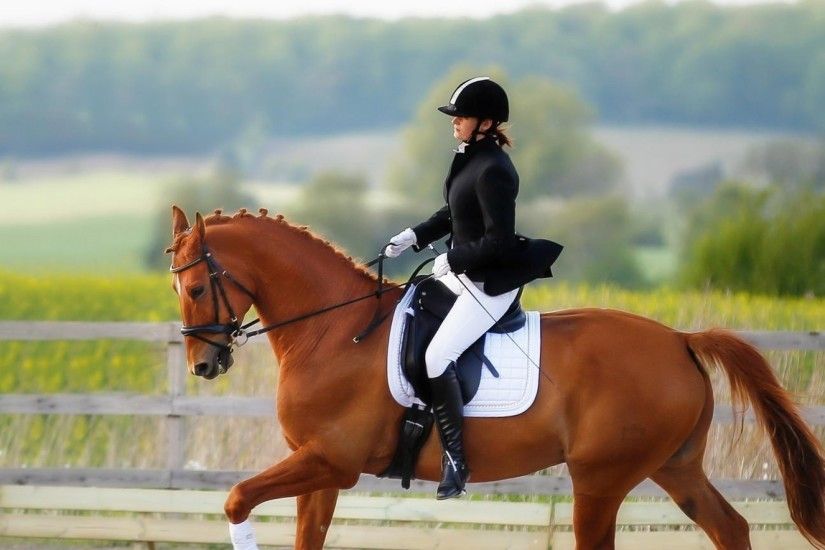 2560x1080 Wallpaper horse, rider, equestrian