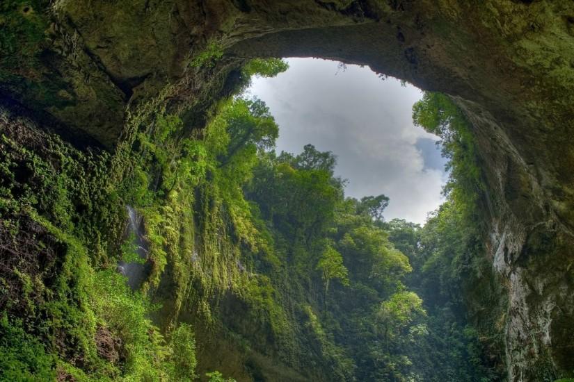 El Yunque Rainforest Wallpaper