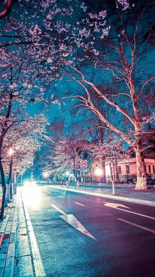 Japanese Street Cherry Blossom Night Scenery iPhone 6 wallpaper