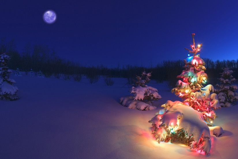 Snow Christmas Tree Desktop Wallpaper