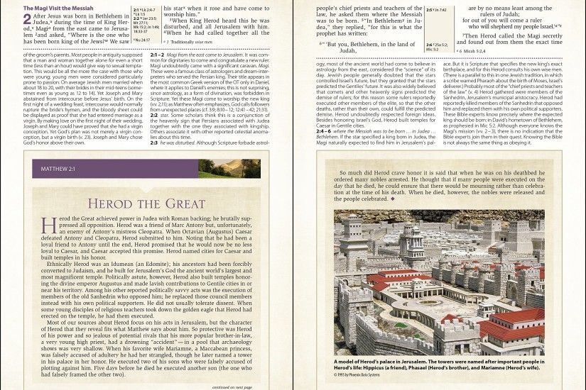 NIV Cultural Backgrounds Study Bible: Bringing to Life the Ancient World of  Scripture: Craig S. Keener, John H. Walton: 9780310431589: Amazon.com: Books