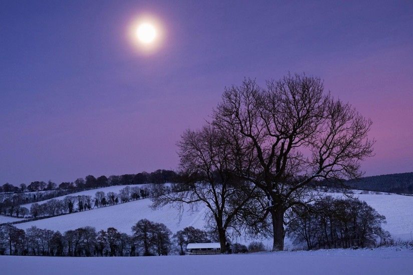Winter-Night-In-Moonlight-Wallpaper-HD