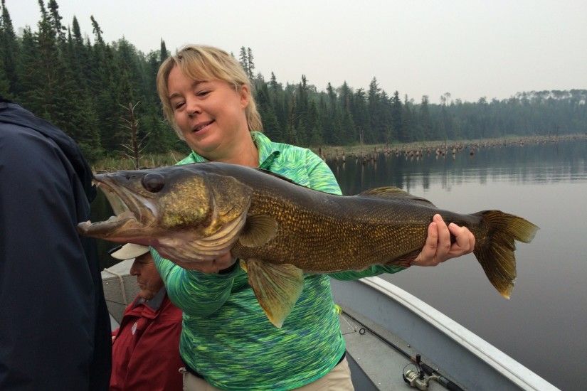 Canadian trophy walleye fishing -