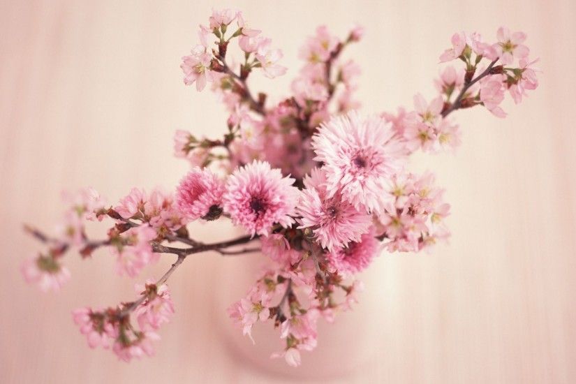 Great Pink Flower Wallpaper laptop/phone backgrounds Pinterest 1600Ã1200  Desktop Flower Backgrounds (