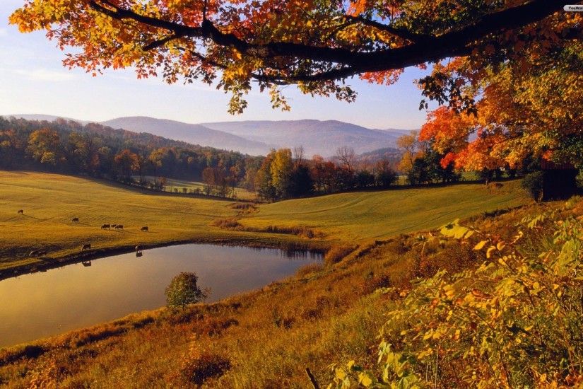 Autumn Landscape Wallpaper 320005