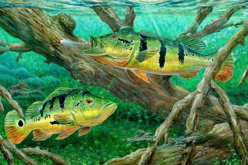 Resultado de imagem para fish wallpaper | Freshwater Fishing .