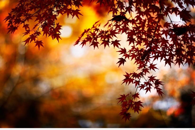 Autumn Wallpapers Hd ...