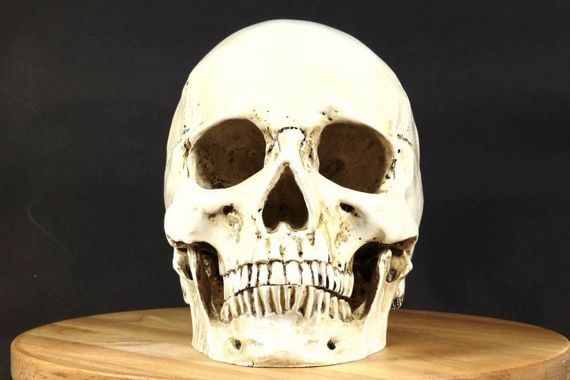 The skull is rotating on a black background. Stock Video Footage -  VideoBlocks