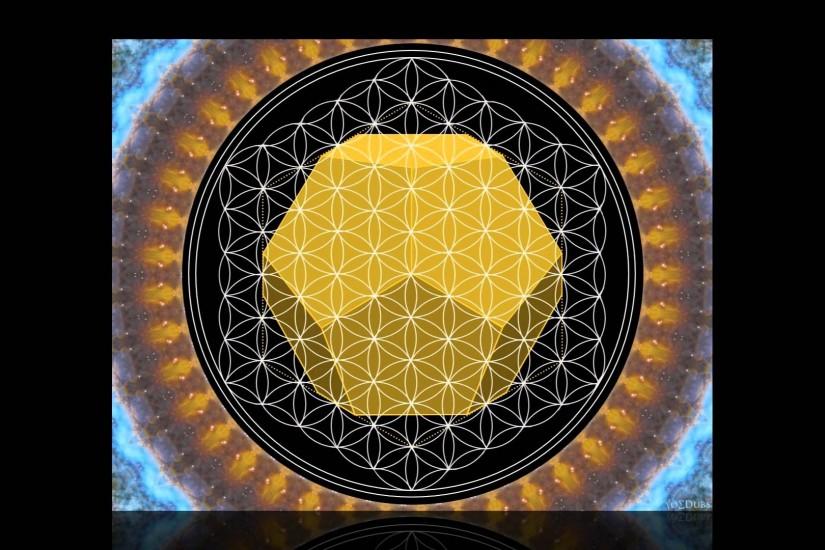 The Platonic Solids and the Flower of Life