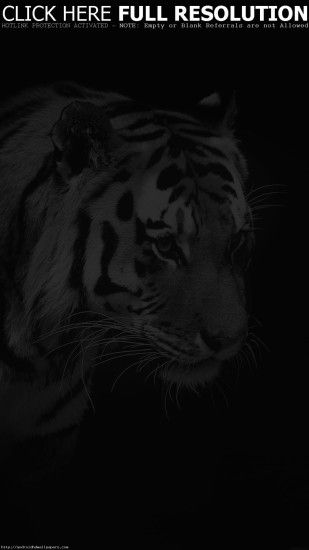 Tiger Dark Bw Animal Love Nature Android wallpaper - Android HD wallpapers