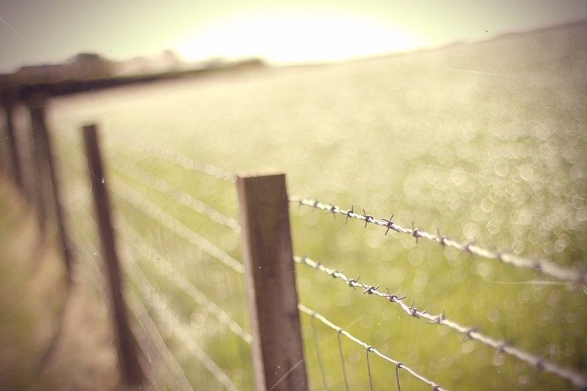 Barbed wire depth of field fences nature wallpaper