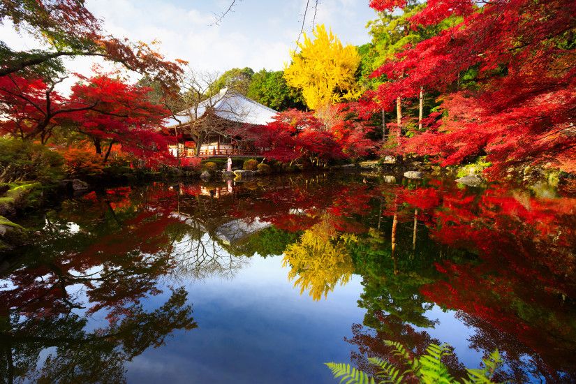 Wallpaper Kyoto Japan Nature Autumn Pond Parks Trees 2880x1800