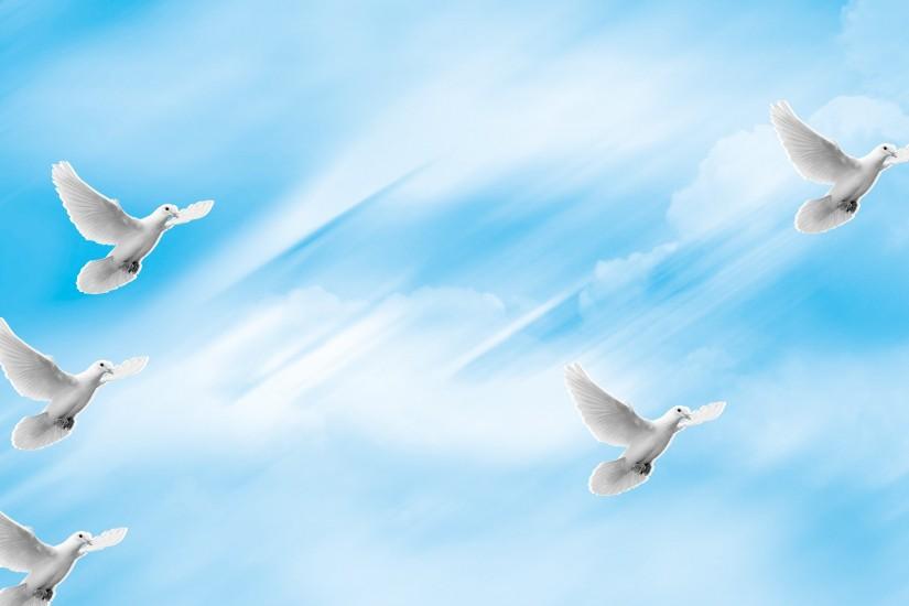 Alfa img - Showing > Heavenly Dove Backgrounds