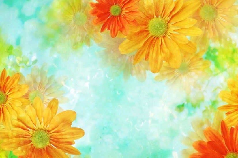 Name: 22241-orange-daisies- Share Your Wallpapers - Page 84