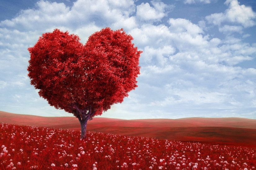 Valentine, Love, Tree, Full, Hd, Wallpaper, For, Desktop, Background,  Pictures, Download Wallpapers, Widescreen, Artwork, 1920Ã1200 Wallpaper HD