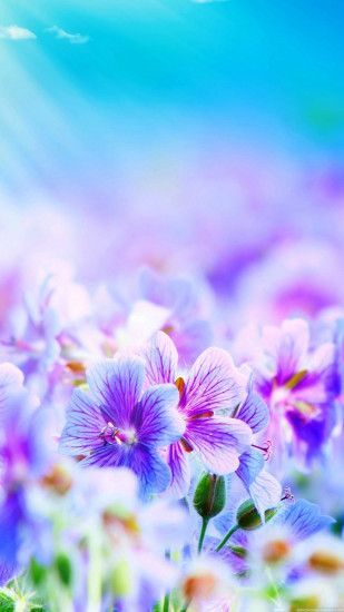 lavender floral wallpape | Purple Flowers Desktop Galaxy S4 1080x1920  Wallpaper HD