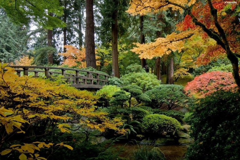 Backgrounds 2400x1600. bridges, autumn, japanese, Garden