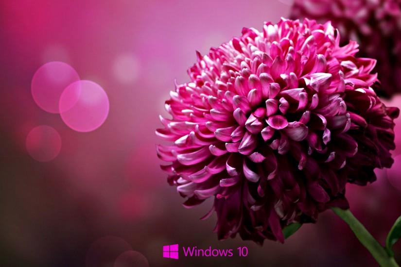 windows 10 wallpaper hd 1080p 2860x1660 for ipad 2