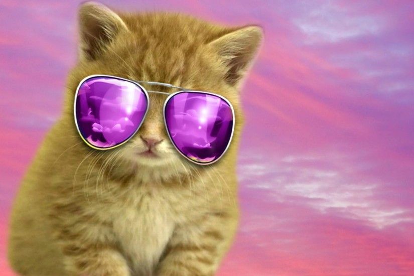 Cool cat for luna - (#164535) - High Quality and Resolution Wallpapers .