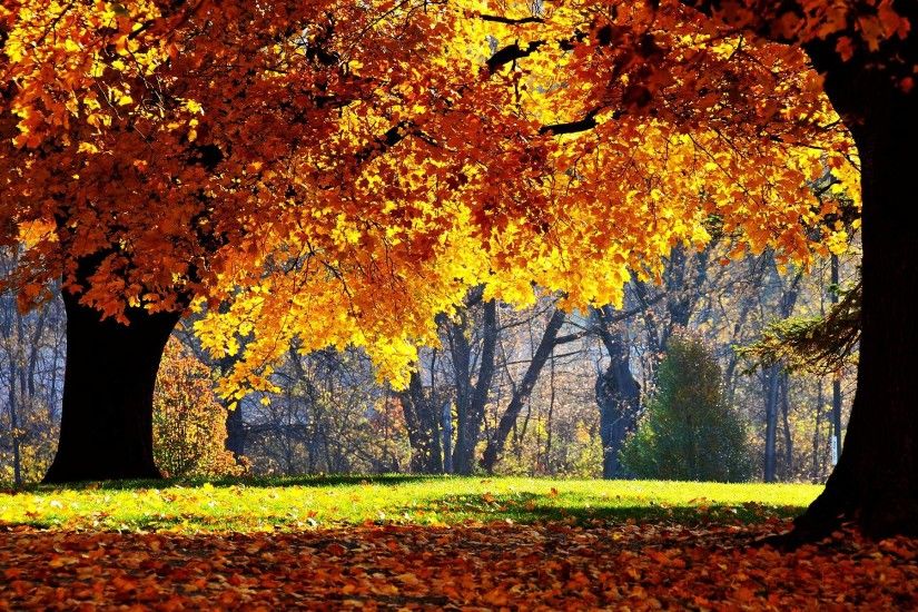 Free Autumn Desktop Wallpapers and Background